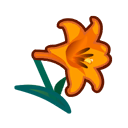 Orange Lilies Product Image