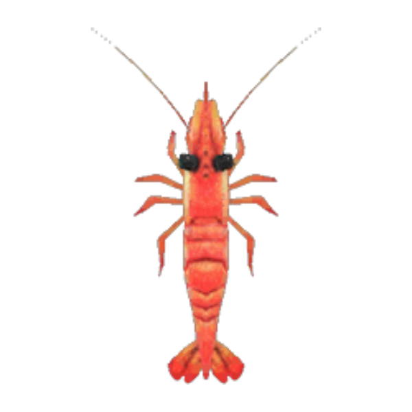 Sweet Shrimp Product Image