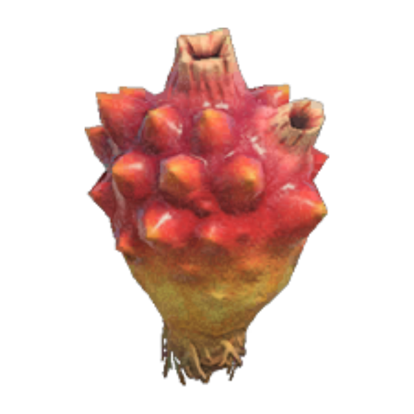 Sea Pineapple Product Image