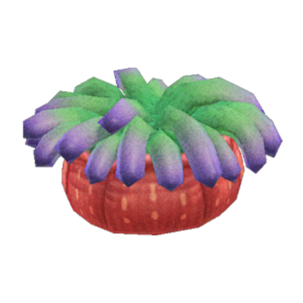 Sea Anemone Product Image
