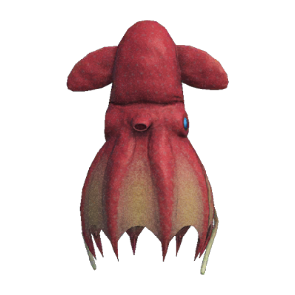 Vampire Squid Product Image