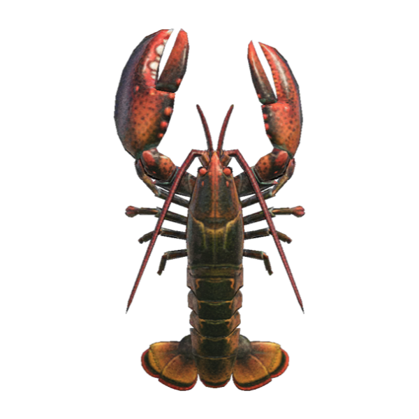 Lobster Product Image