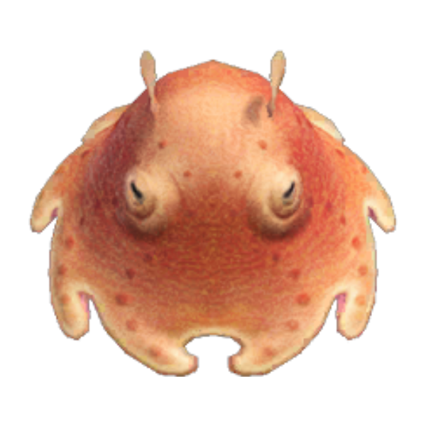 Umbrella Octopus Product Image