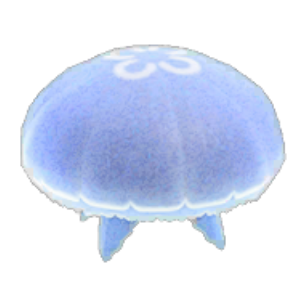 Moon Jellyfish Product Image
