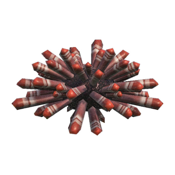 Slate Pencil Urchin Product Image