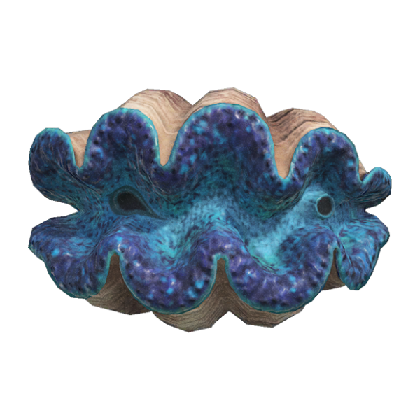 Gigas Giant Clam Product Image
