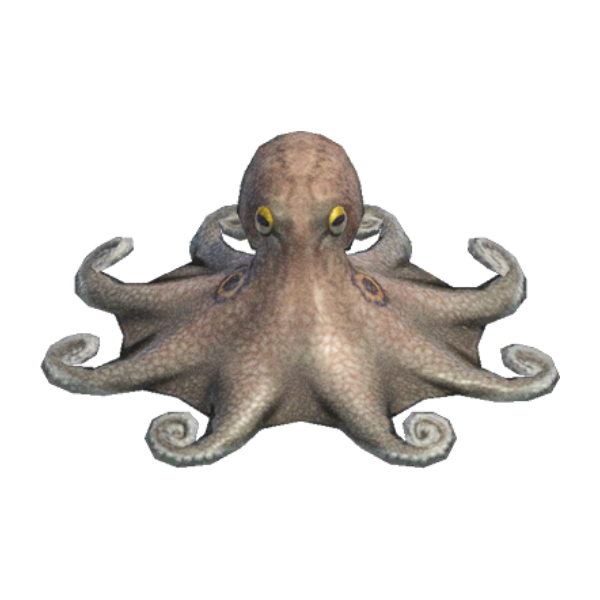 Octopus Product Image