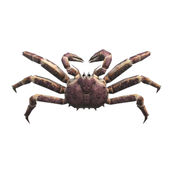 Red King Crab Product Image