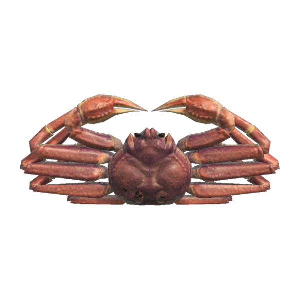 Snow Crab Product Image