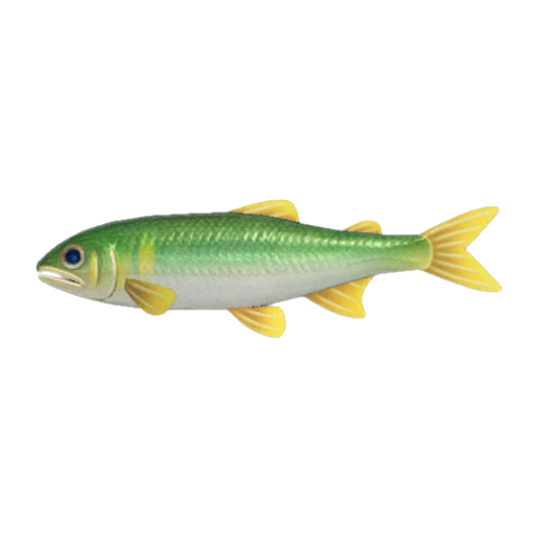 Sweetfish Product Image