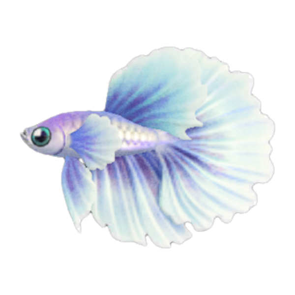 Betta Product Image