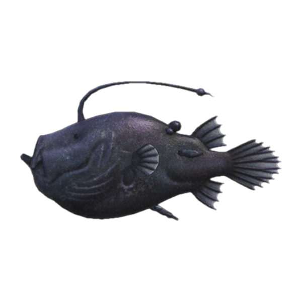 Football Fish Product Image