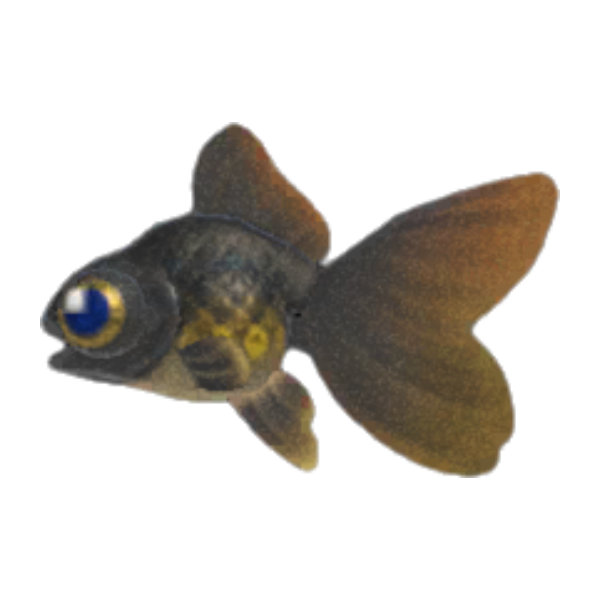 Pop-Eyed Goldfish Product Image