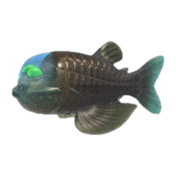 Barreleye Product Image