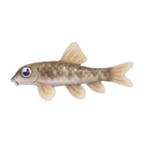 Nibble Fish Product Image