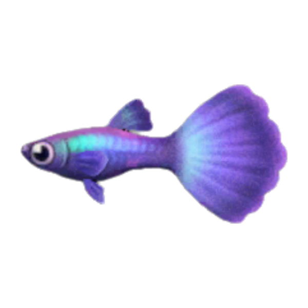 Guppy Product Image
