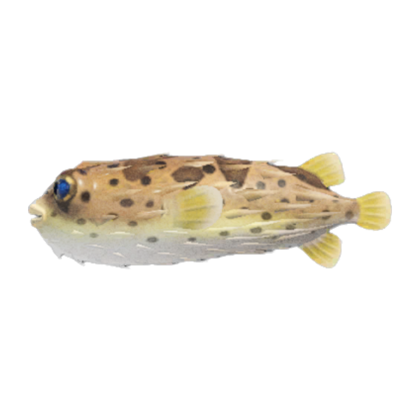 Puffer Fish Product Image