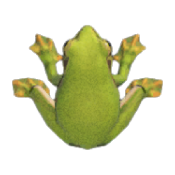 Frog Product Image