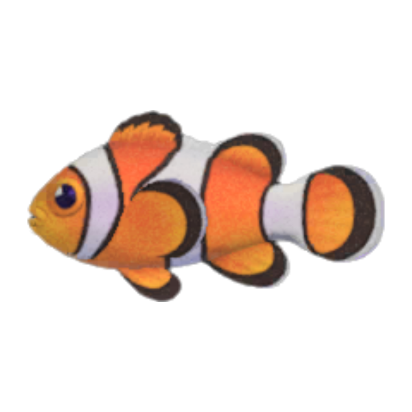 Clown Fish Product Image