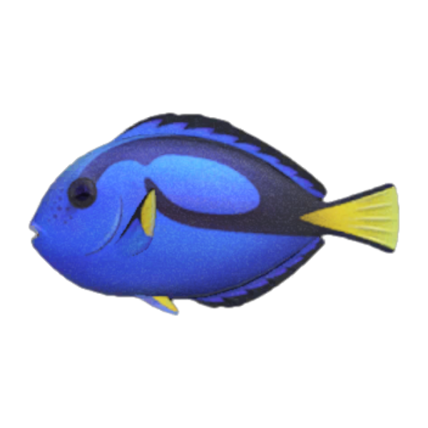 Surgeonfish Product Image
