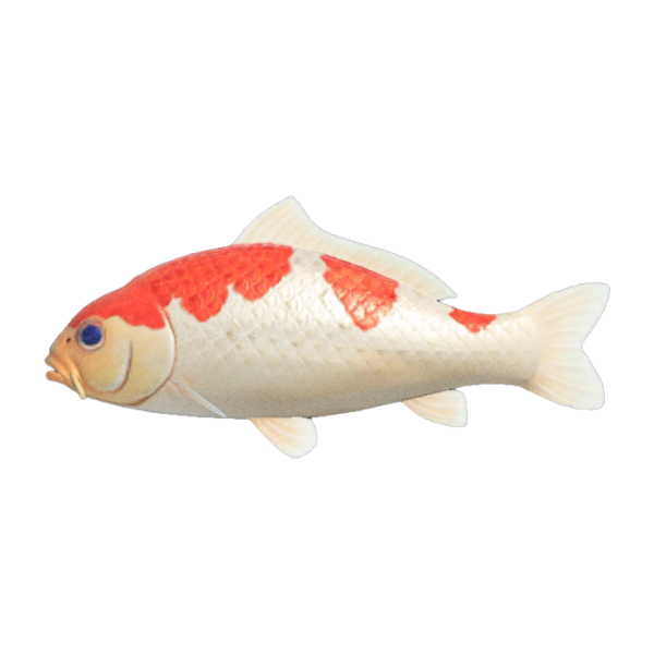 Koi Product Image