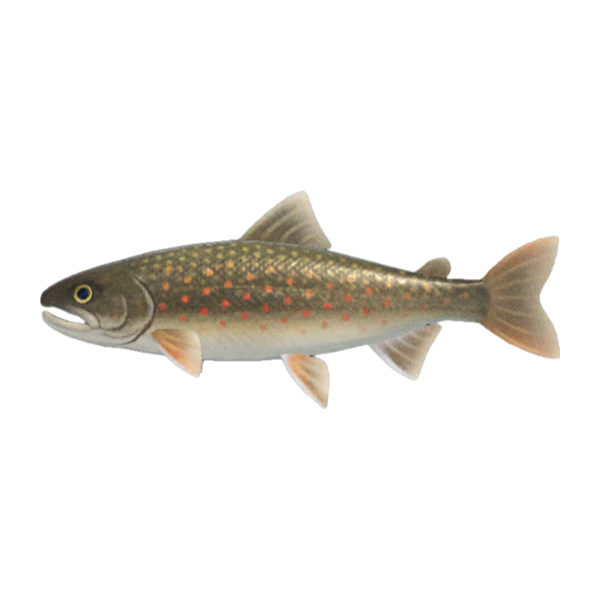 Char Product Image