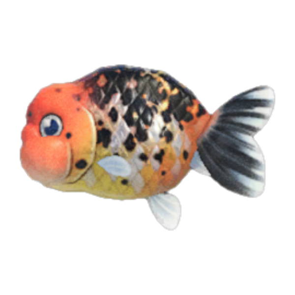 Ranchu Goldfish Product Image