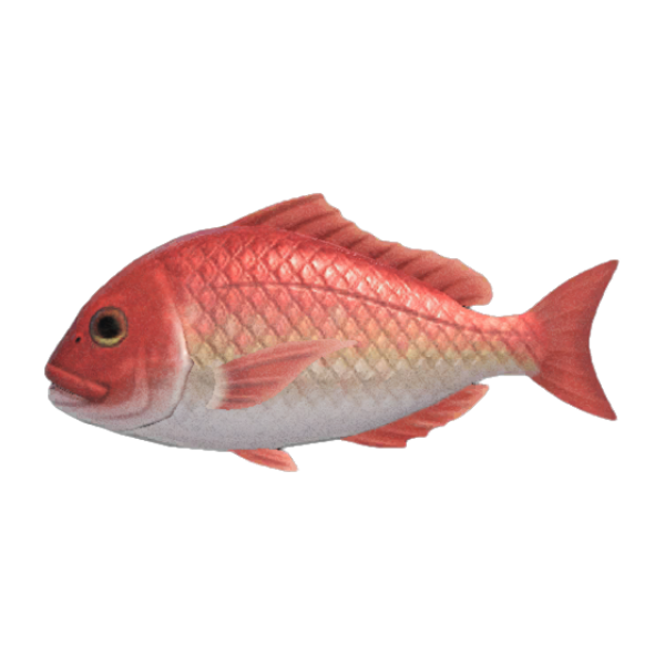 Red Snapper Product Image