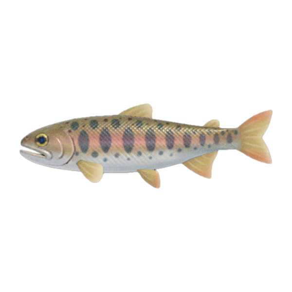 Cherry Salmon Product Image