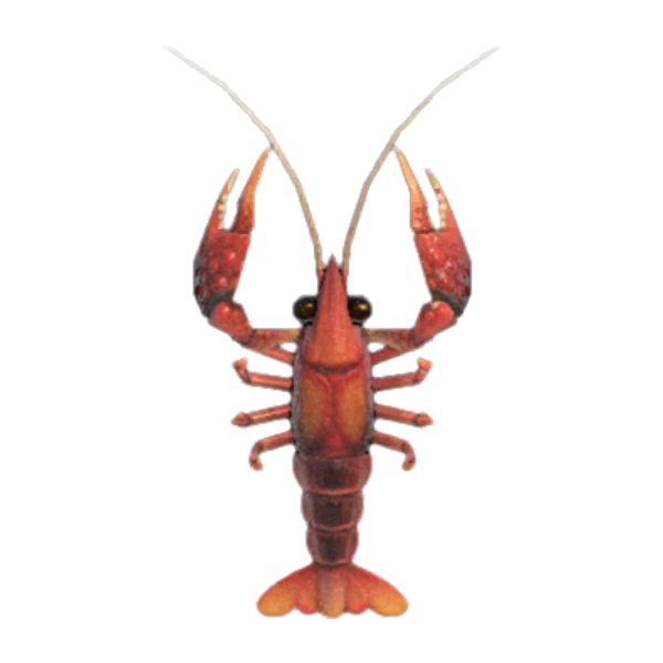 Crawfish Product Image