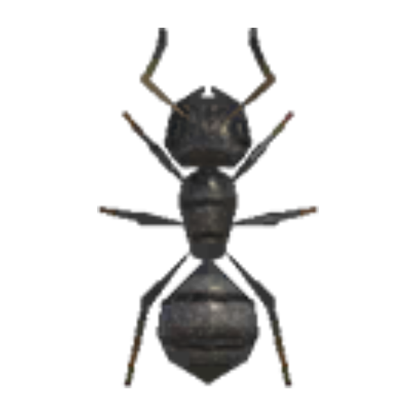 Ant Product Image