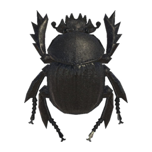 Dung Beetle Product Image