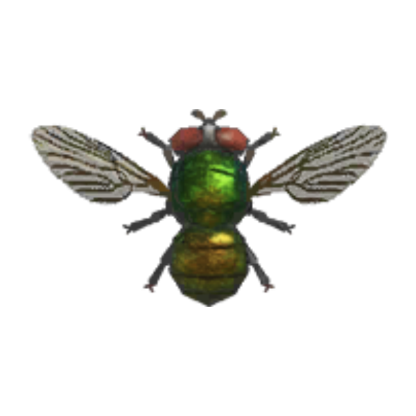 Fly Product Image