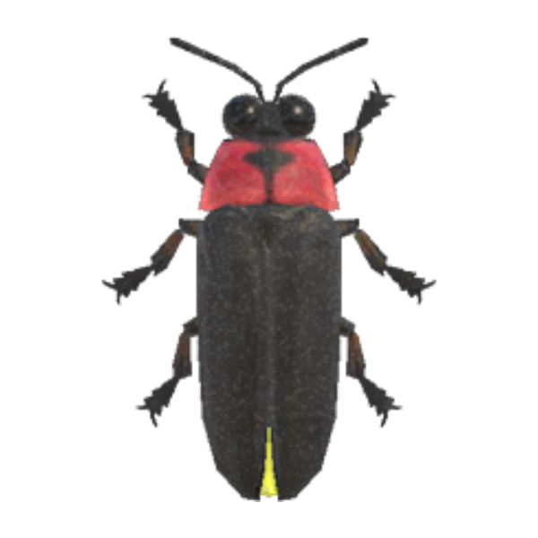 Firefly Product Image
