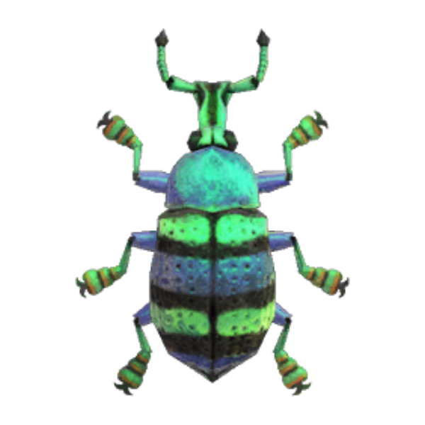 Blue Weevil Beetle Product Image