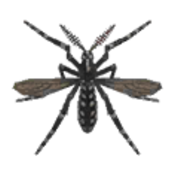 Mosquito Product Image