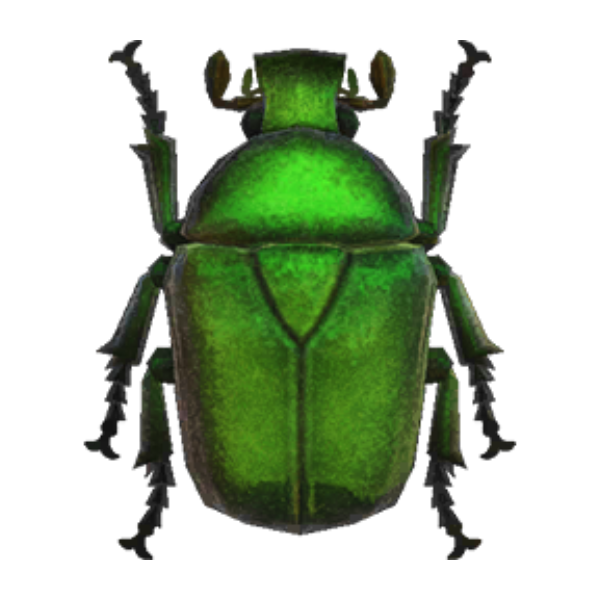 Drone Beetle Product Image