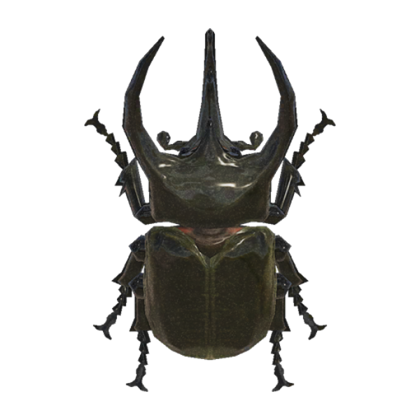 Horned Atlas Product Image