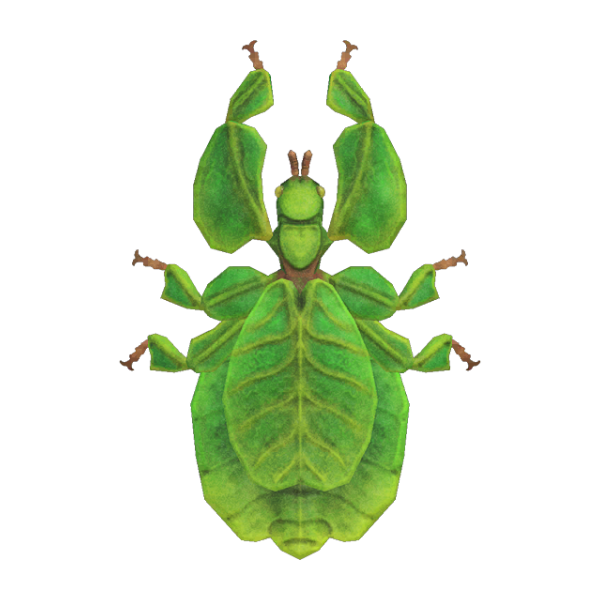 Walking Leaf Product Image
