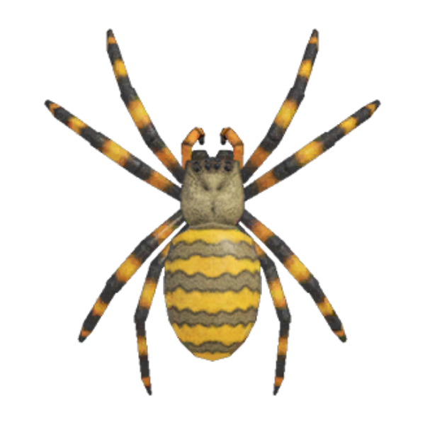 Spider Product Image