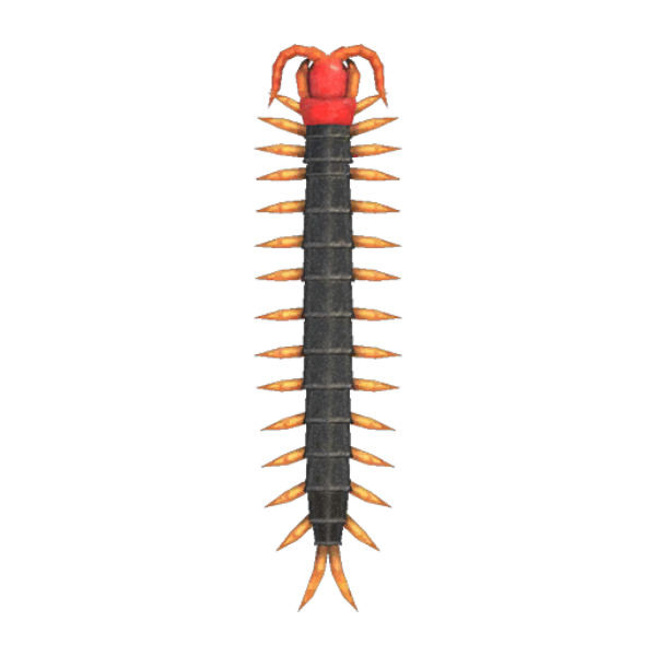 Centipede Product Image