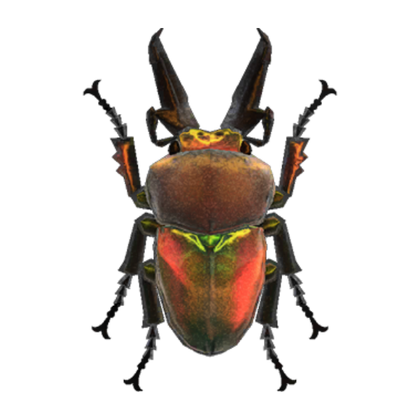 Rainbow Stag Product Image