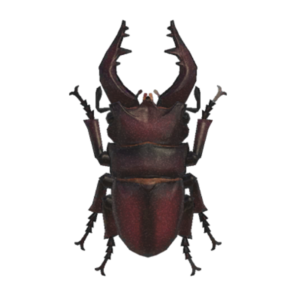 Saw Stag Product Image
