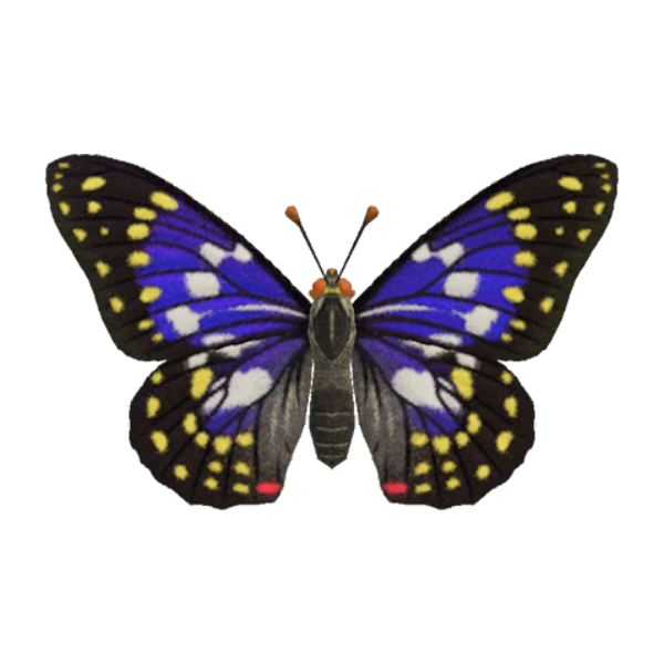 Great Purple Emperor Product Image