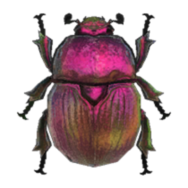 Earth-Boring Dung Beetle Product Image