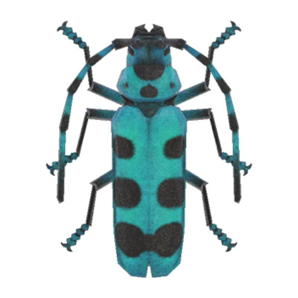Rosalia Batesi Beetle Product Image
