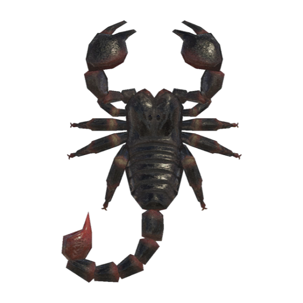 Scorpion Product Image