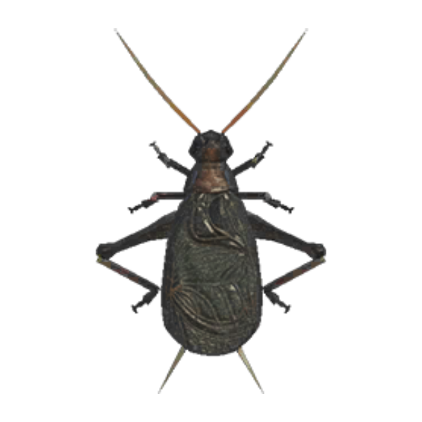 Bell Cricket Product Image