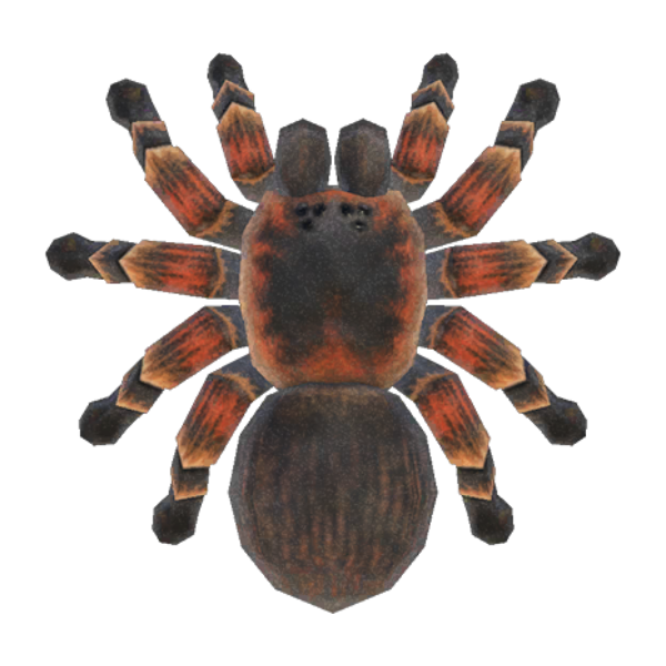 Tarantula Product Image