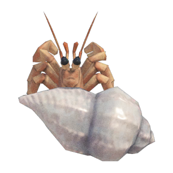 Hermit Crab Product Image